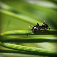 /album/michelrubiano/photolia-a05-jpg/