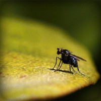 /album/michelrubiano/photolia-a07-jpg/