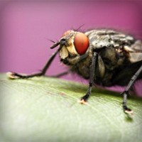 /album/michelrubiano/photolia-a08-jpg/